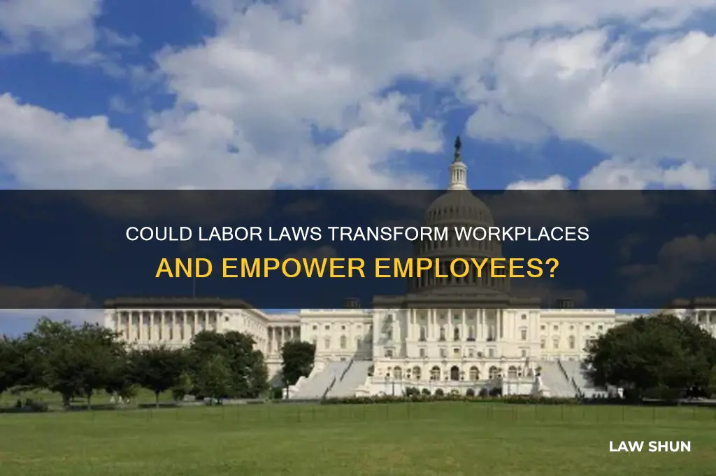 could labor laws
