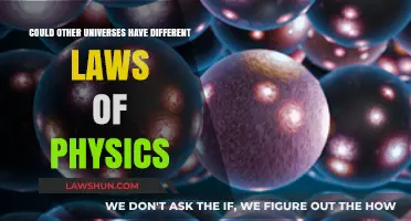 Parallel Universes: Different Physics Rules?