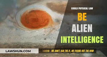 Could Physical Laws Be the Handiwork of Alien Intelligence?