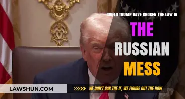 Trump and Russia: Legal Boundaries Crossed in the Scandal?