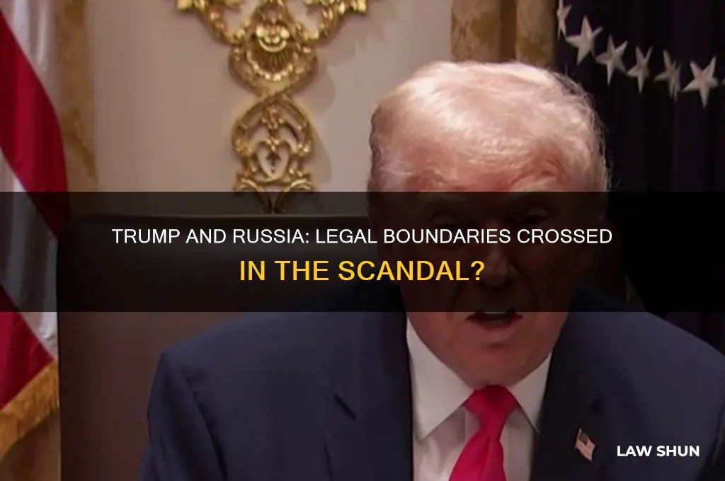 could trump have broken the law in the russian mess
