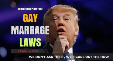 Could Trump Reverse Gay Marriage Laws? Analyzing Legal and Political Implications