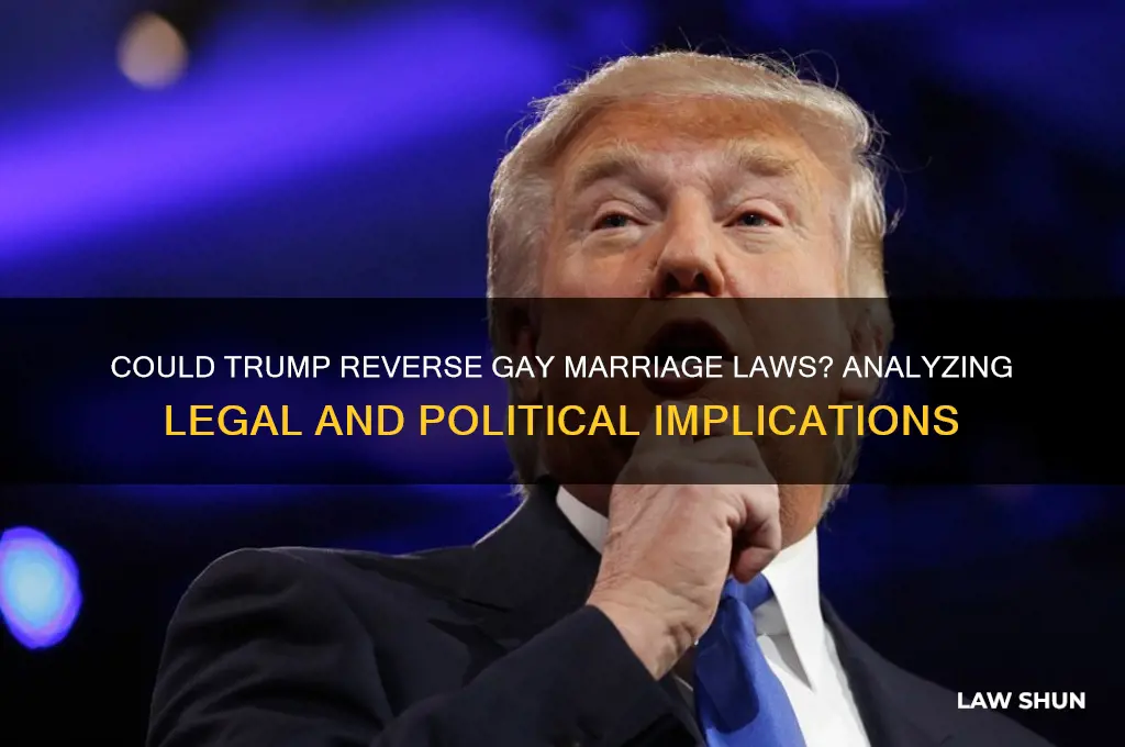 could trump reverse gay marrage laws