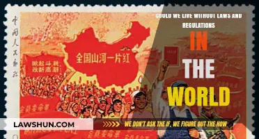A Lawless World: Exploring Life Without Rules and Order