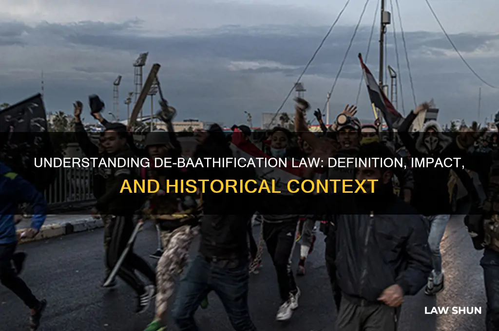 de-baathification law definition