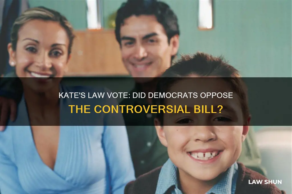 did 156 democrats vote against kate