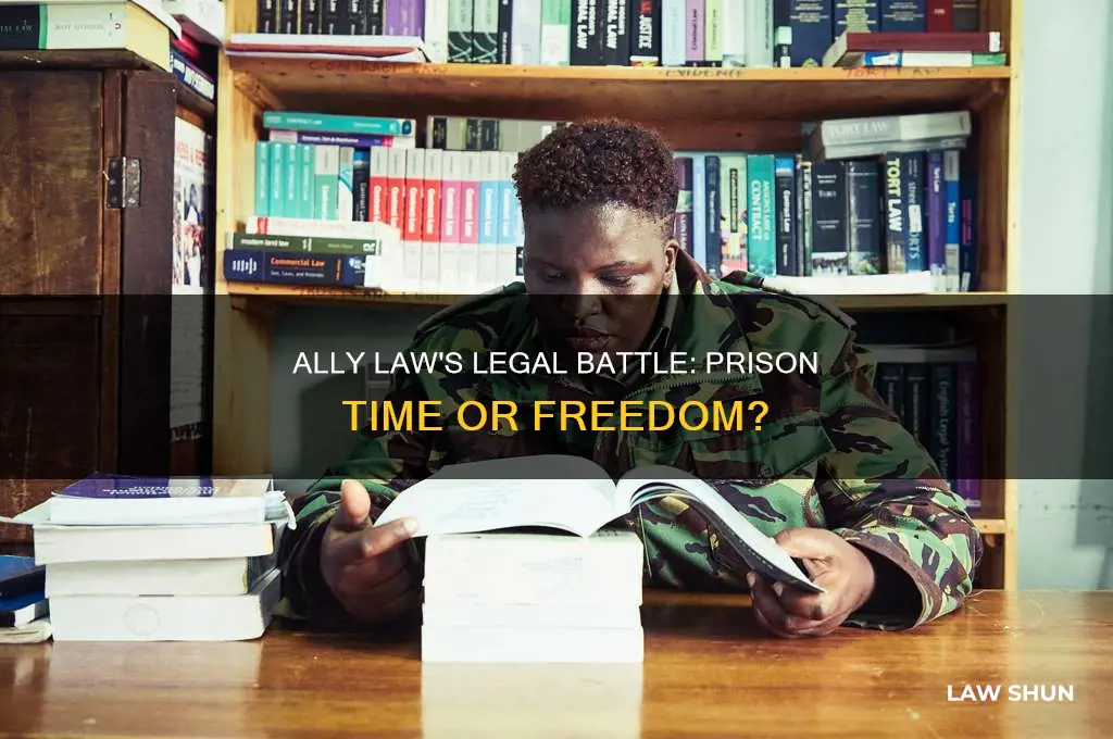 did ally law go to prison