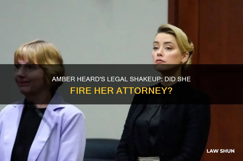 did amber heard fire her lawer