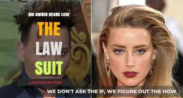 Amber Heard vs. Johnny Depp: Lawsuit Verdict and Its Aftermath