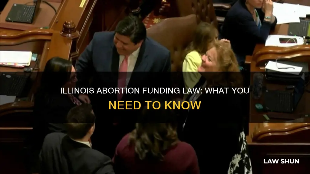 did an illinois law pay for abortions