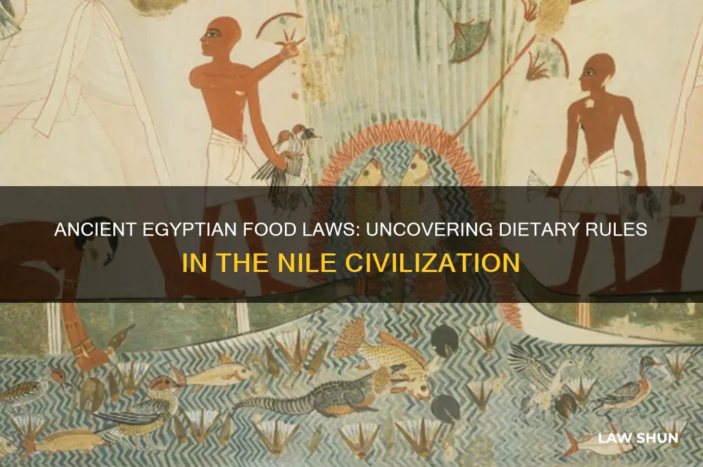 did ancient egyptians have food laws