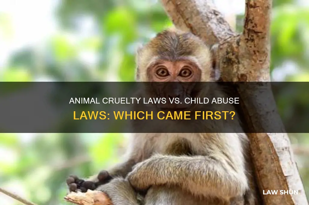 did animal cruely laws emerge before child abuse laws