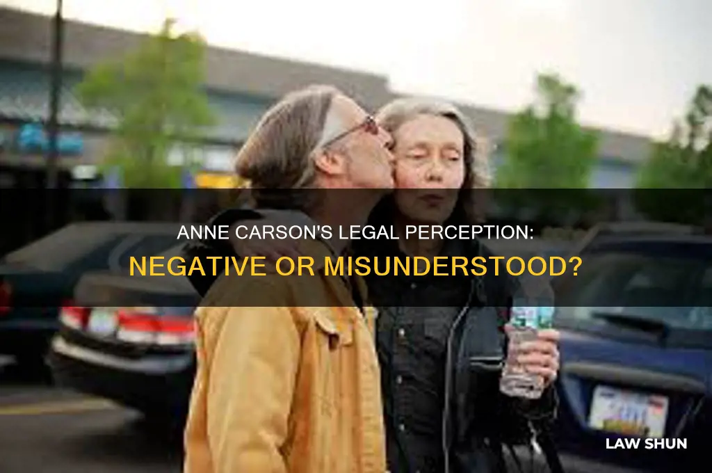 did anne carson have a negative perception by the law