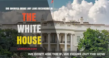Anorosa's White House Recordings: Legal or Unlawful Act?