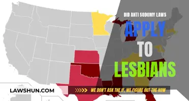 Anti-Sodomy Laws: Were Lesbians Included or Excluded?