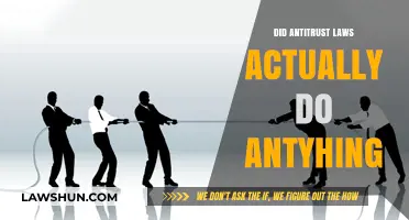 Did Antitrust Laws Deliver: Real Impact or Empty Promises?