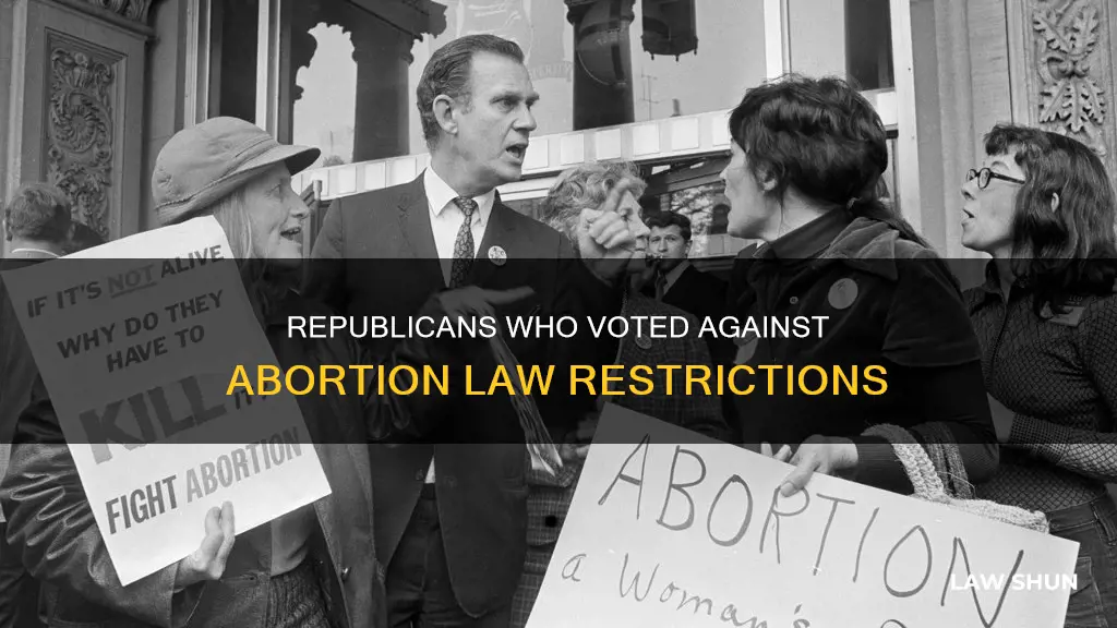 did any republicans vote no for the abortion law