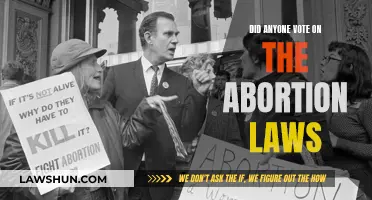 Who Decides Abortion Laws? A Vote for Change