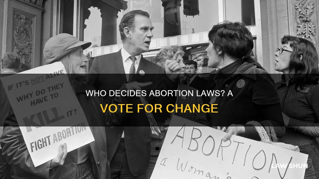 did anyone vote on the abortion laws