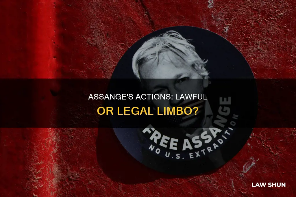 did assange break the law