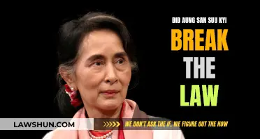 Aung San Suu Kyi: Lawbreaker or Hero?