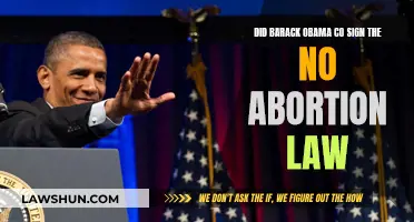 Barack Obama's Stance on Abortion: Co-Signing No Abortion Law?