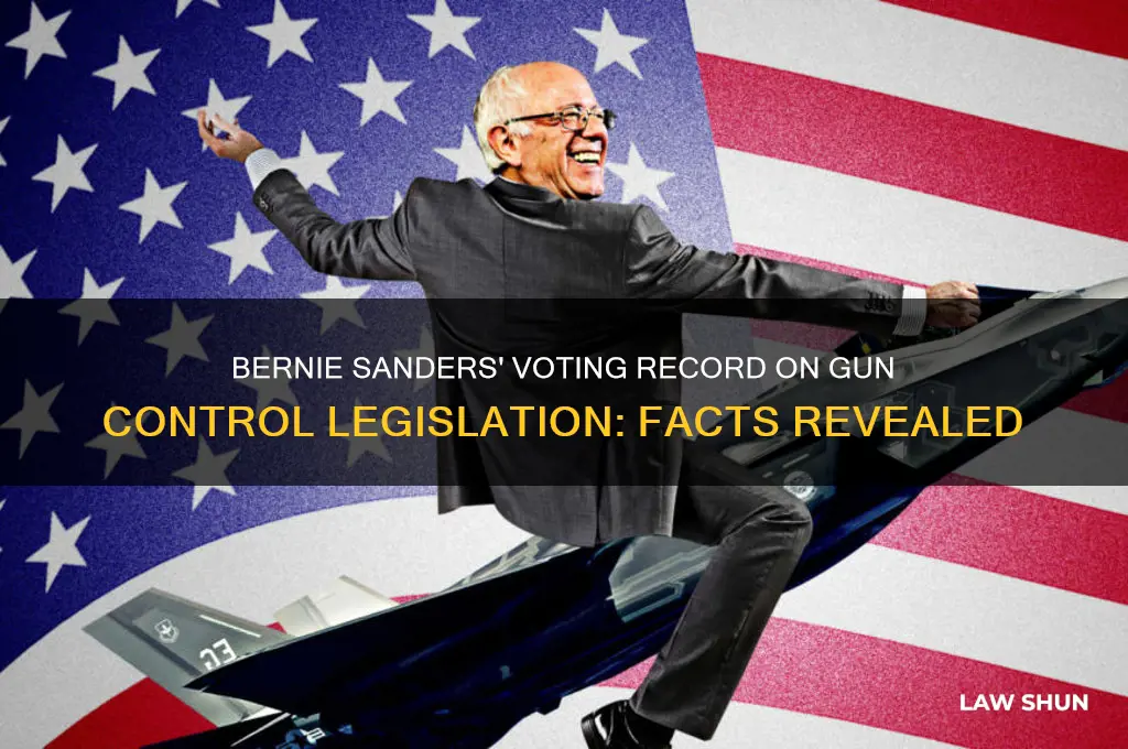did bernie sanders vote for tgun laws
