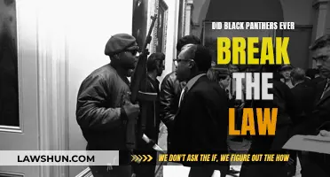 Black Panthers: Lawbreakers or Freedom Fighters?