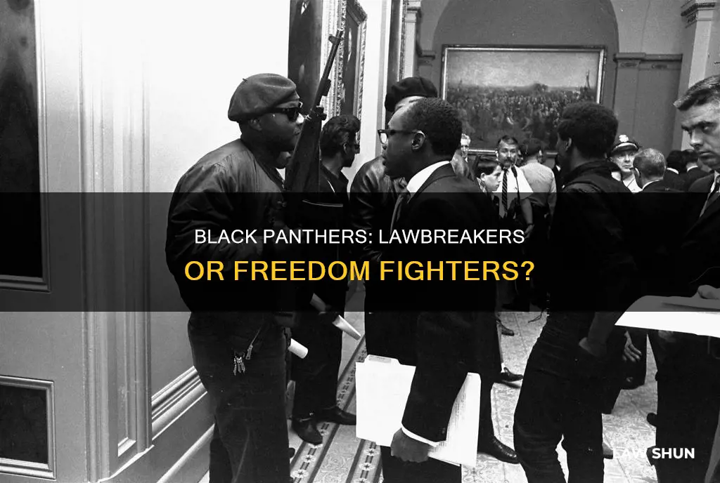 did black panthers ever break the law