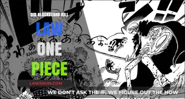 Did Blackbeard Kill Law in One Piece? Analyzing the Truth