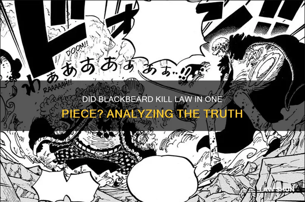 did blackbeard kill law one piece