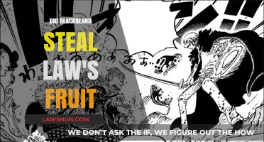 Did Blackbeard Steal Law's Devil Fruit? Unraveling the One Piece Mystery