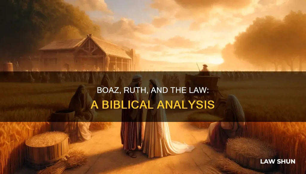 did boaz break the law in marrying ruth