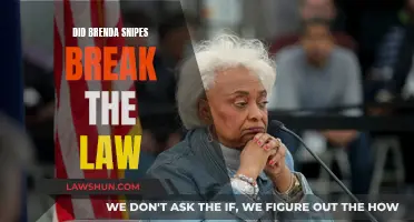 Did Brenda Snipes Overstep Legal Boundaries?