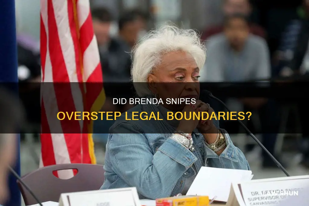 did brenda snipes break the law