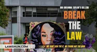 Who Killed Breonna Taylor? Were Laws Broken?