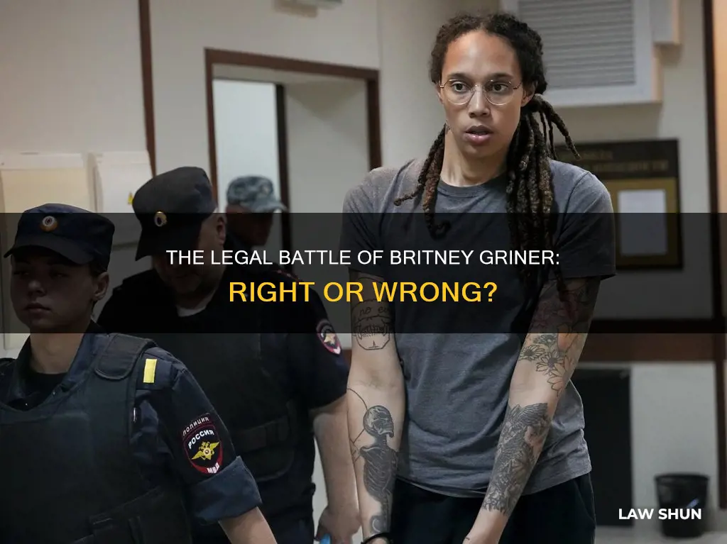 did britney griner break the law