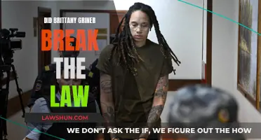 Did Griner's Actions Warrant Her Harsh Sentence?