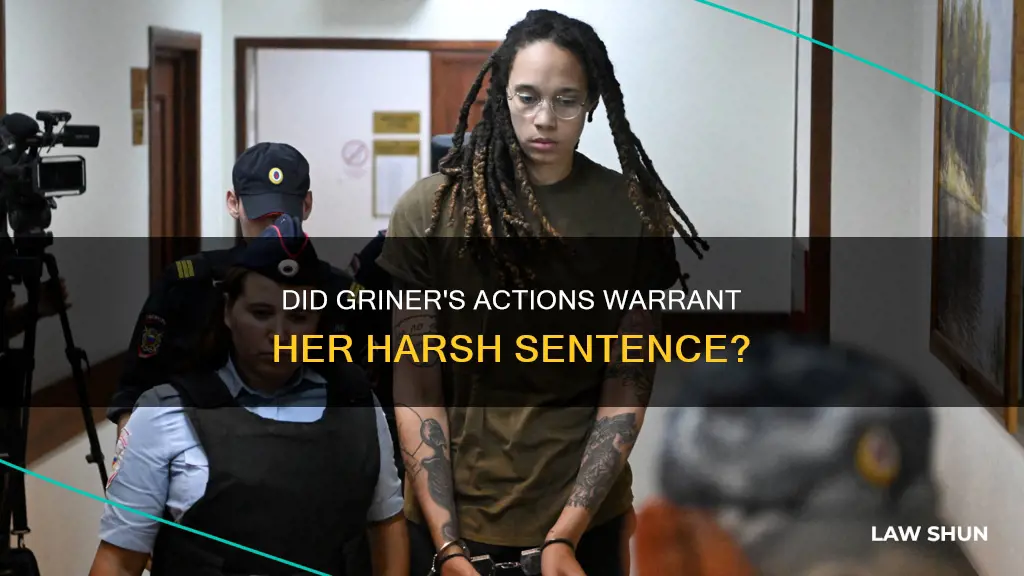 did brittany griner break the law