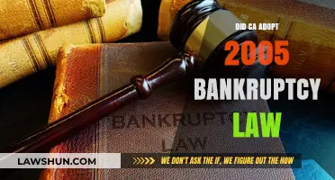 California's Adoption of the 2005 Bankruptcy Law: What You Need to Know
