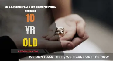 California's Legal Stance on Pedophiles Marrying Minors: Fact vs. Fiction