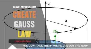 Gauss Law: The Legacy of Carl Friedrich Gauss