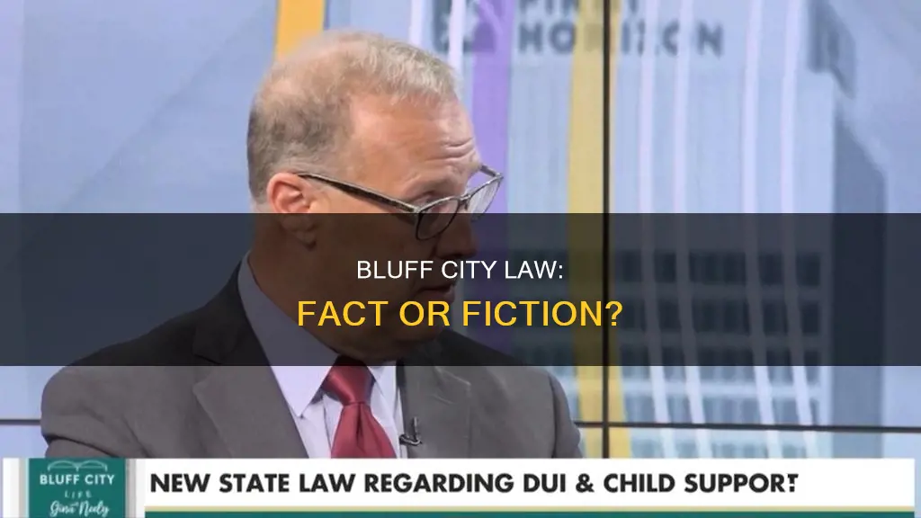 did case on bluff city law occur