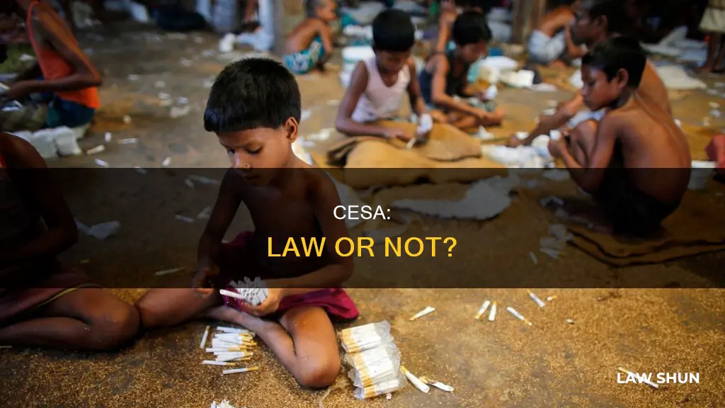 did cesa become law