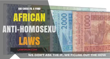 Chick-fil-A's African Donations: Homophobic or Humanitarian?