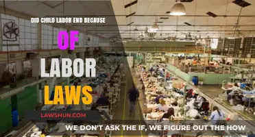 Did Labor Laws Truly End Child Labor? A Critical Analysis