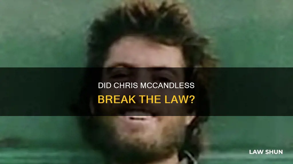 did chris mccandless break law