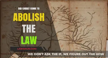 Did Christ Abolish the Law? Exploring Jesus' Teachings and Intentions
