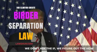 Clinton's Border Legacy: Separation Law and its Impact