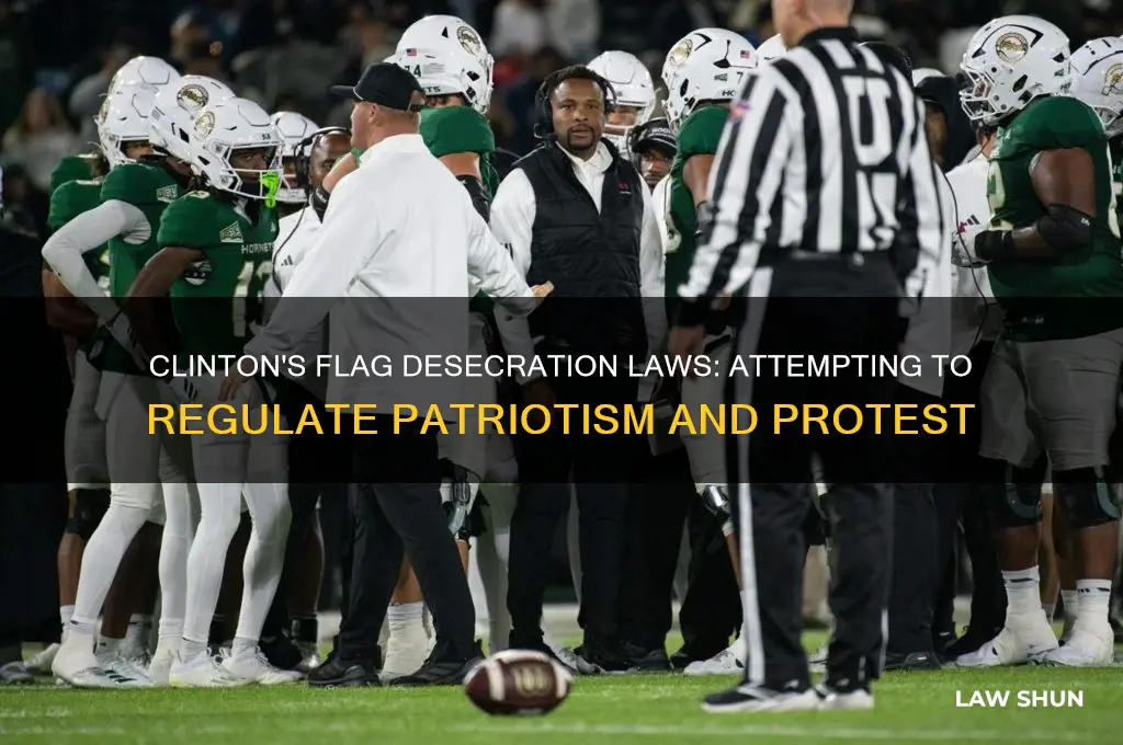 did clinton try coming wth laws on discraying the flag